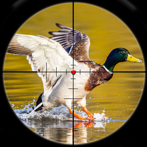 Birds Hunting Sniper Shooting 1.0 Icon