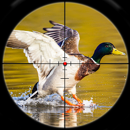Icon image Birds Hunting Sniper Shooting