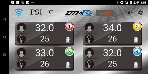 DTMRS TPMS Screen 2