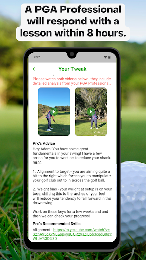 Screenshot of Swingtweaks