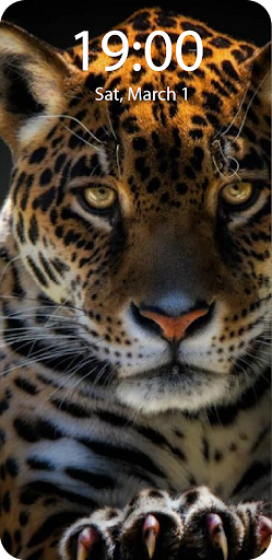 Leopard Live Wallpaper Paralla Screen 3