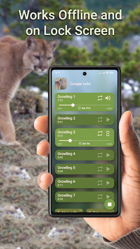 Cougar Hunting Calls Screen 3
