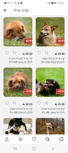 4Dogs Original Screen 3