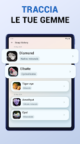 Immagine screenshot