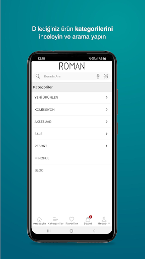 Roman Screen 3