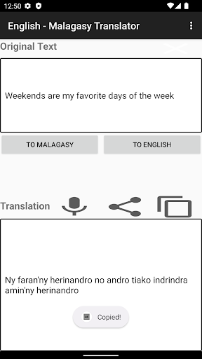 English - Malagasy Translator Screen 2
