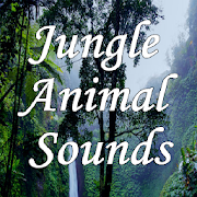 free jungle sounds jungle sleep sounds