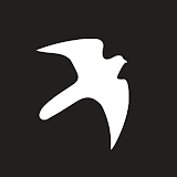 Kestrel LiNK (Legacy) icon