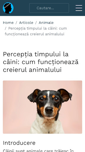CunoZoom - Cultură generală Screen 2