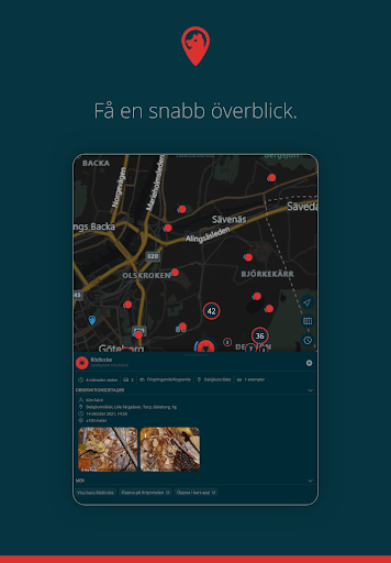 Artkartan - artfynd nära dig