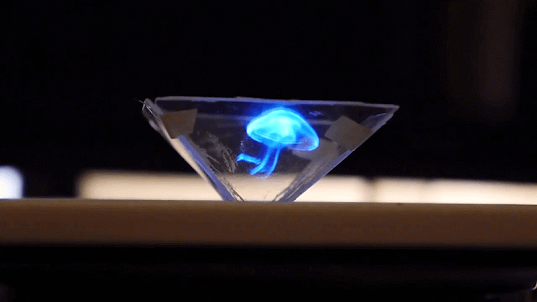 Vyomy 3D Hologram Hummingbird