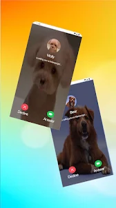 Fake Video Call Dog Prank