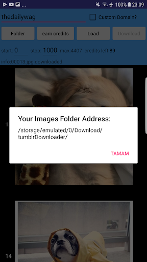 Tumbleer Viewer Downloader Screen 2
