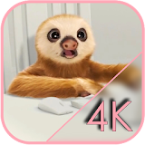 Sloth Office Live Wallpaper icon