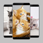 Cover Image of Download Cats Wallpaper  APK