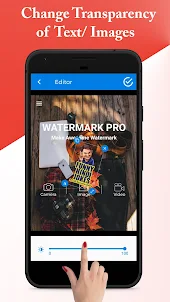 Remove Video Watermark Pro