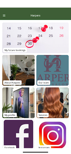 Android application Harpers screenshort