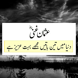 Imagen de ícono de Hazrat Usman Quotes in Urdu