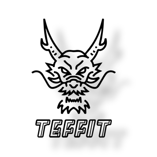 TEFFIT logo