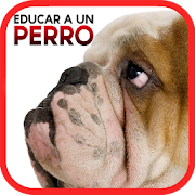 Top 31 Education Apps Like Cómo Educar a un Perro - Best Alternatives