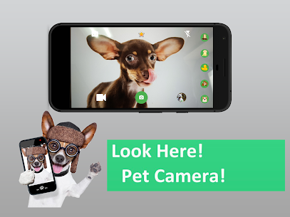 Look Here  Pet For Pc – Windows 10/8/7/mac -free Download 3