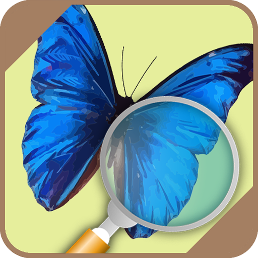 Automatic Butterfly Identifier  Icon