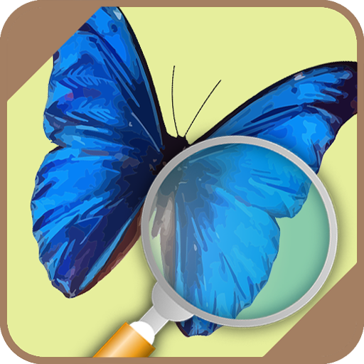 Automatic Butterfly Identifier logo