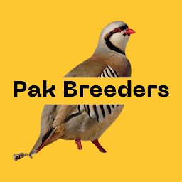 Pak Breeders: Download & Review