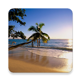 Beach Wallpapers HD icon