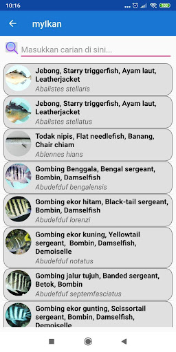 myJoran - Aplikasi Lengkap Mem