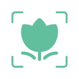 Plant Identification icon