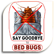 Bed Bugs - Pest (Guide)