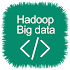 Learn Big Data Hadoop