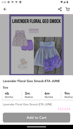 Screenshot of Fox & Fawn Children's Boutique