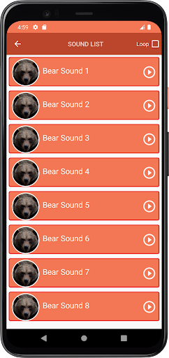 Bear Sounds Screen 3