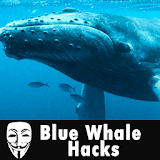 Blue Whale Hacks icon