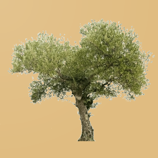 El Olivar logo