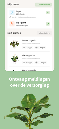 Intratuin: planten & wonen Screen 3