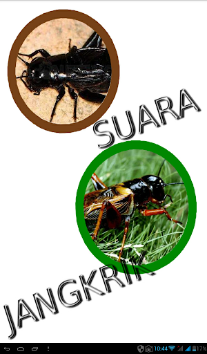 Android application Kumpulan Suara Jangkrik screenshort