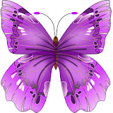 Butterfly Flower for DoodleText icon