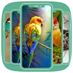 Cover Image of Unduh Beautiful Birds Wallpapers  APK