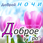 Cover Image of Descargar Buenos días, tardes y noches en ruso  APK