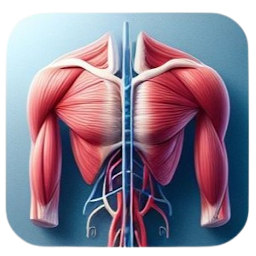 Icon image AR Anatomy
