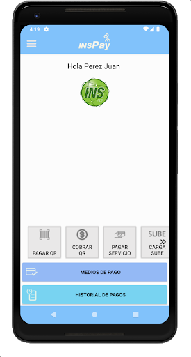 INS PAY Screen 2