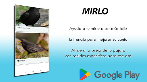 Canto Mirlo V2 Screen 3