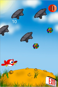 HummingBird Game APK