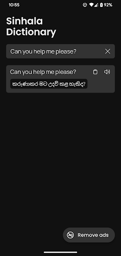 Sinhala English Dictionary Screen 2