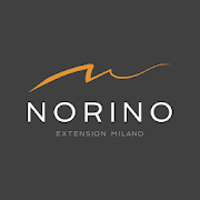Norino Extension Milano  Icon