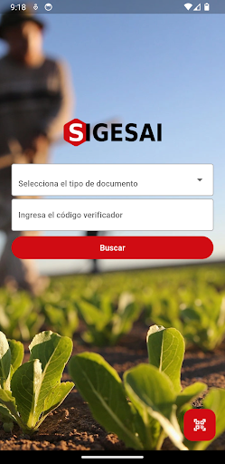 SIGESAI - Verificación INSAI