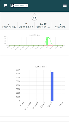 ליטבינוב ויקטוריה רואה חשבון Screen 3